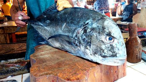 Mamsa Fish Guide: Philippines' Unique Sea Treasure.